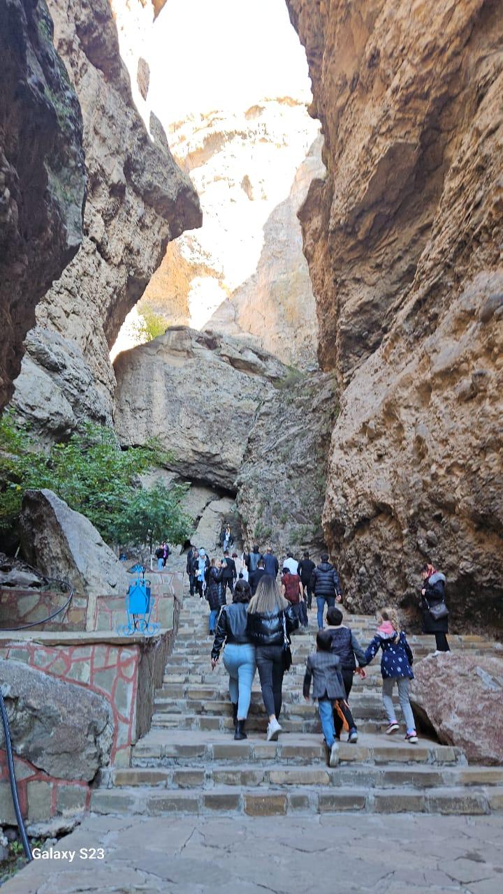 Şəkil 2